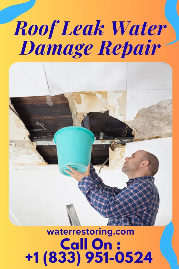 Roof Leak Water Damage Repair in Bonney Lake, WA